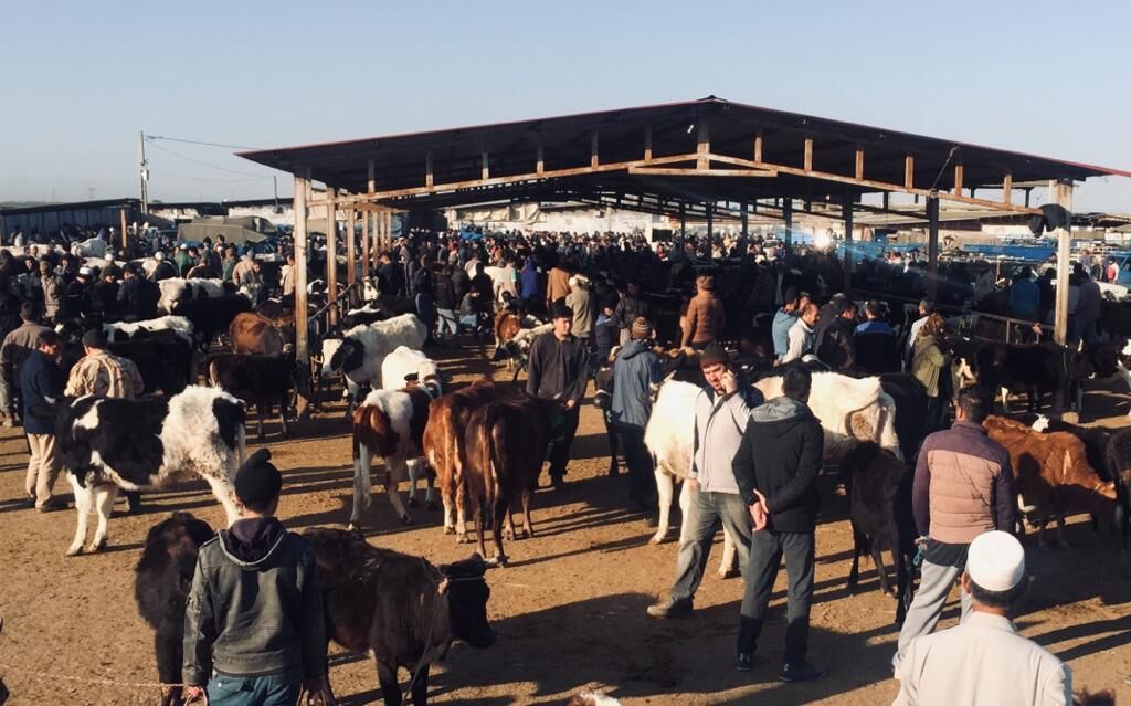 ماریا ماوتی: مستندسازان از مناطق مرزی ایران غافل نشوند